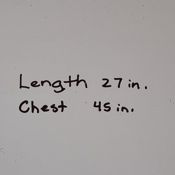 Triumph Lucky Brand Mens XL Shirt Short Sleeve Blue Burnout Graphic Logo Patch - Picture 9 of 9